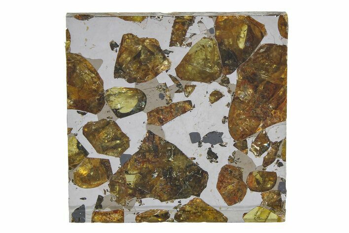 Brahin Pallasite Meteorite ( g) Slice - Belarus #351938